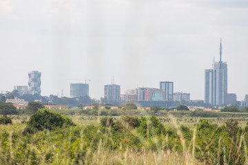 Fototapeta premium City landscape on the horizon