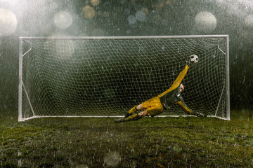 Dirty goalkeeper in flight catch the ball. Professional night rain stadium with football goal. Grass in the stadium wet from the rain © Alex