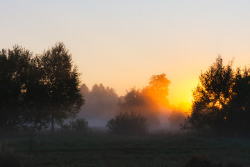 The sun's rays Shine through the fog in the summer morning at dawn in a field with trees