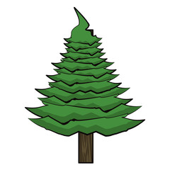 Tree pine cartoon