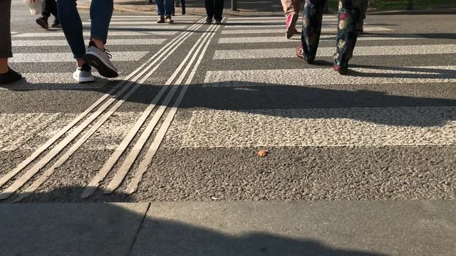 Pedestrian cross over road by zebra crossing in city. People step across road by crosswalk. Crowded panda crossing on street at sunny day. Vehicle and pedestrian traffic in town. Citizens head to work