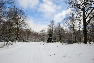 Fototapeta premium Winter landscape covered with snow