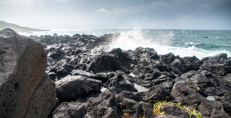 Stony wild sea shore.
