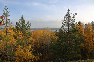 Beautiful Karelian forest landscape in early autumn in Russia

