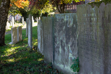 Gravestones in a graveyard
