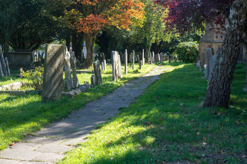 Gravestones in a graveyard