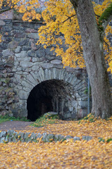 autumn by the stone wall