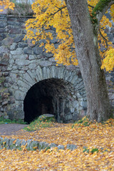 autumn by the stone wall