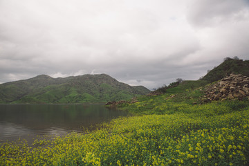 Obraz premium By the lake
