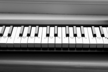 Piano keys on a keyboard