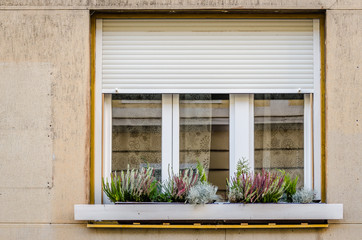 Street windows in Pecs  