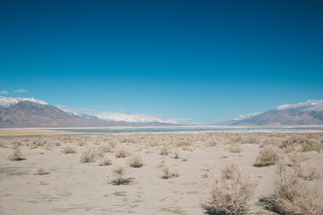 Arid landscape