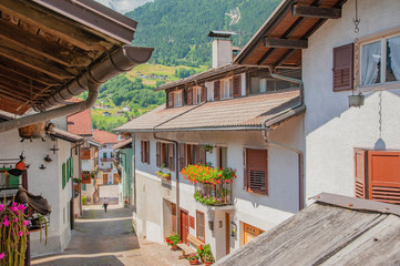 Fototapeta na wymiar typical village of the Alps