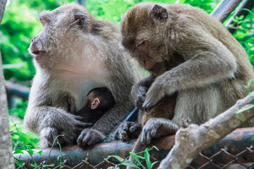 mother and baby