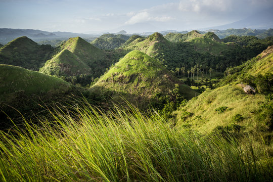 Chocolate Hills in the Bohol province of the Philippines. Famous tourist attraction. Green grass in front. Travel Background. Nature landscape. Holiday, hiking, sport, recreation