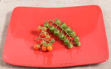 Green cherry tomatoes on a branch on a red plate.