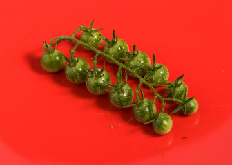 Green cherry tomatoes on a branch on a red plate.