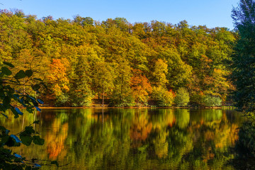 Herbslandschaft am See