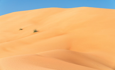 Fototapeta na wymiar Sand Dunes in Desert