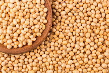 Crushed soybeans - Glycine max. Top view