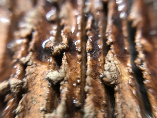Painted clay surface, macro

