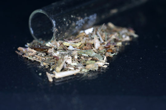 The clary sage is in the dried state very well as a spice for smoking meat and fish
