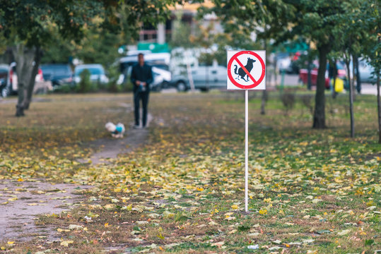 No dog poop sign in autumn park