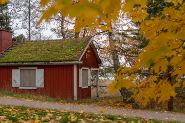 Fototapeta na wymiar Red house in yellow autumn