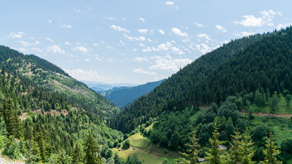 Obraz premium Beautiful green nature landscape of trees and forests in rural areas of Blacksea region, Artvin, Turkey
