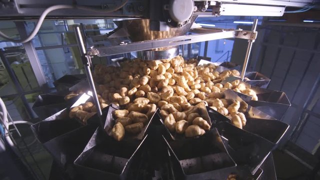 Production of small buns conveyor