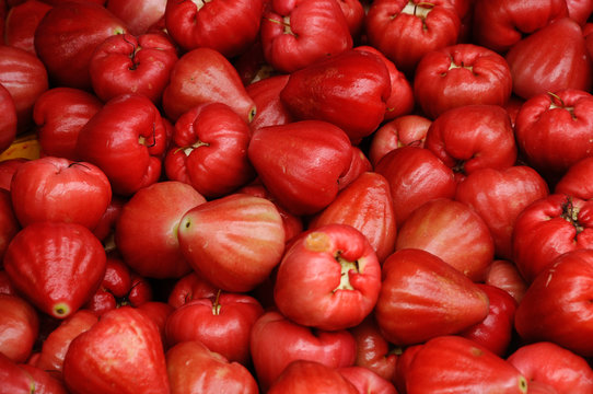 Jambu red best sale