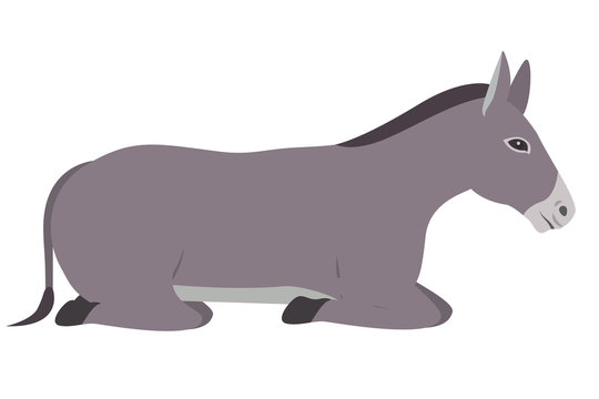 cute mule manger character