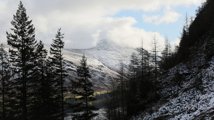 Snowy mountain past pine trees, Helvellyn UK
