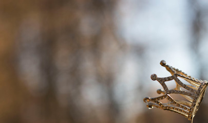 beautiful silver crown on autumn leaves background, Queen of autumn, copy space, place for text or advertisement