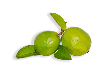 Fruit Guava