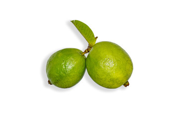 Fruit Guava