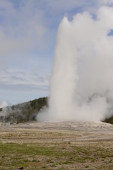 Old Faithful Geyser in Yellowstone National Park erupts about every 30 minutes with a high stream of boiling hot water