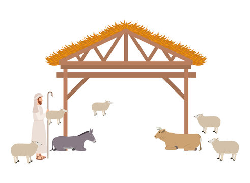 Shepherd with sheeps in stable