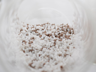 close up White and Brown PET chips, master batch, polymer resin in laboratory, thermal storage master batch, plastic granulate for injection molding process.