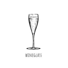 A glass of champagne sketch hand drawing. 