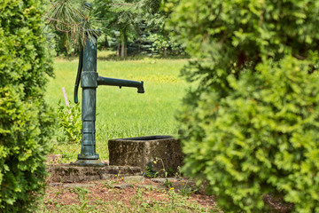 water well in the park between the trees - obrazy, fototapety, plakaty