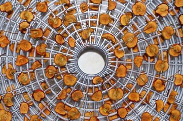 Sliced apples are dried in a dehydrator