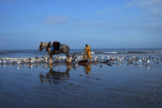 P&ecirc;cheur de crevettes &agrave; cheval.