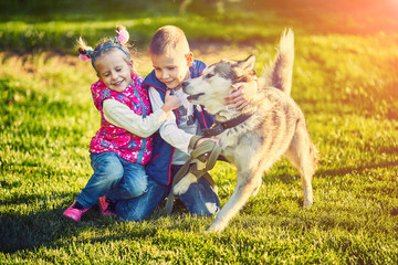 child and dog together in autumn park