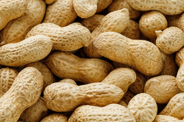 Uncleaned inshell peanuts. Peanuts, for background or textures.