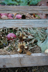 Gartenmüll