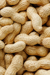 Uncleaned inshell peanuts. Peanuts, for background or textures.