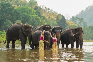 Fototapeta na wymiar Beautiful Asian Woman wears thai dress with her elephant