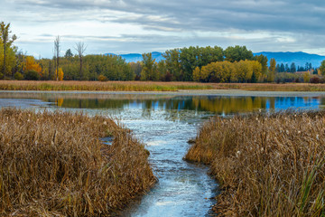Early morning pond in autumn Flathead Vally, Montana