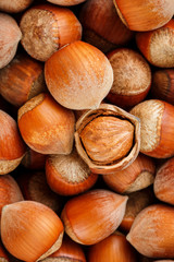 Hazelnuts. Stack of hazelnuts. Food background. Hazelnut background. Hazelnuts in shells background